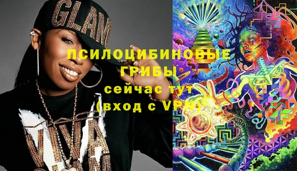 шишки Куйбышев
