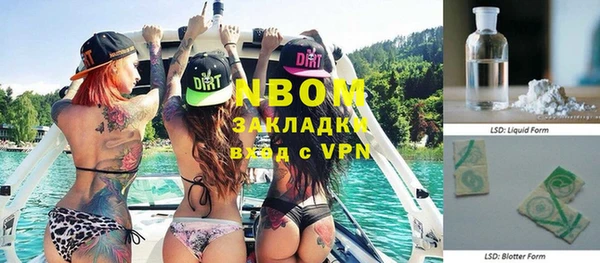 шишки Куйбышев