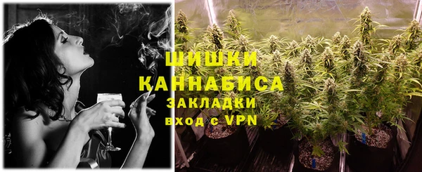 шишки Куйбышев