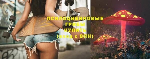 шишки Куйбышев