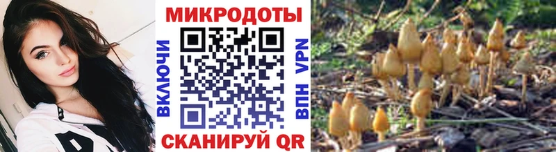 Псилоцибиновые грибы Psilocybine cubensis  где найти наркотики  Зарайск 